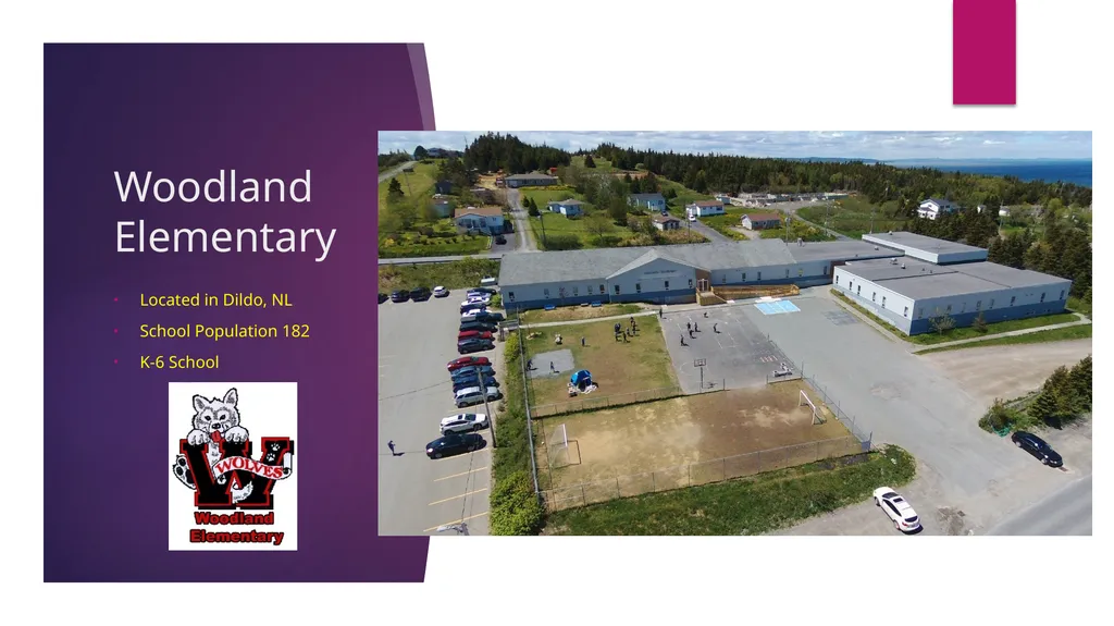 Coding and Droning Woodland elementary Teachers in - slide 2 of 29