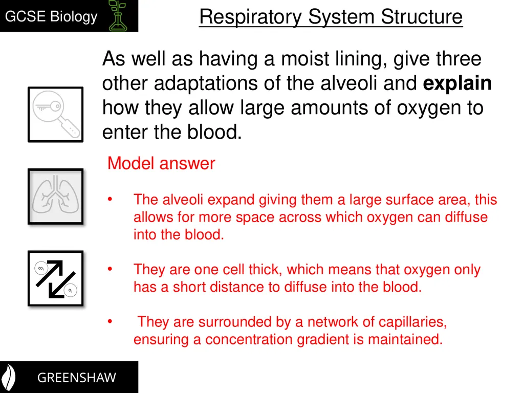 Teacher notes – B2.2.2 Students should know the - slide 12 of 13