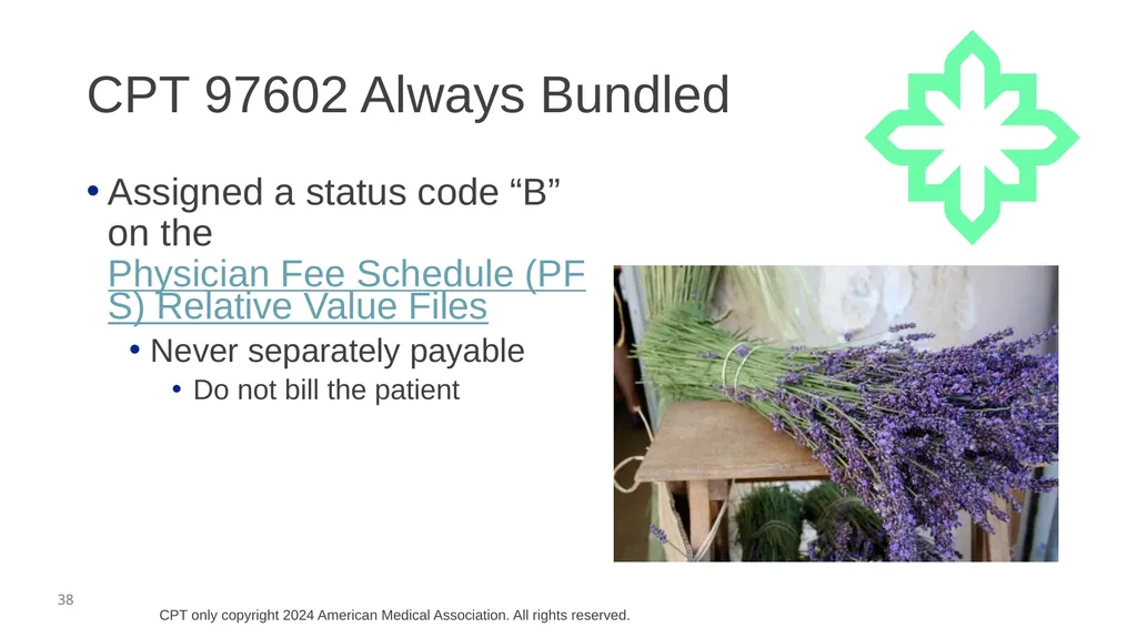 Audio Information The presenter started speaking - slide 38 of 50