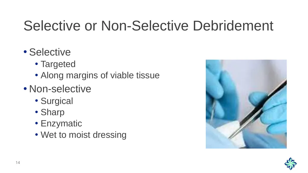 Audio Information The presenter started speaking - slide 14 of 50