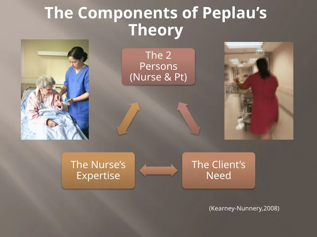 Hildegard Peplau Theory of Interpersonal - slide 4 of 48