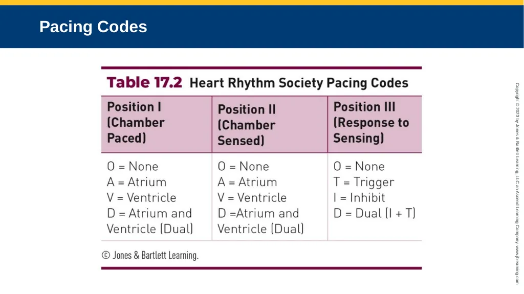 CHAPTER 17 Temporary Pacing and Cardioversion - slide 8 of 38