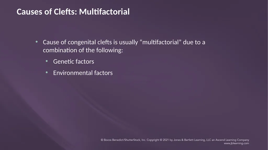 Chapter 3: Clefts of the Lip and Palate Chapter 3: - slide 17 of 64
