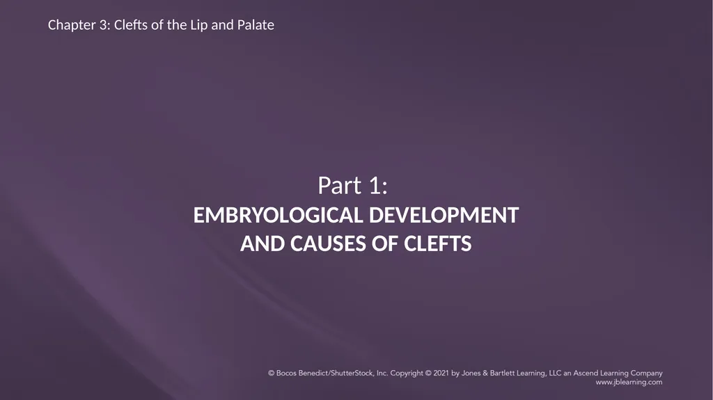 Chapter 3: Clefts of the Lip and Palate Chapter 3: - slide 2 of 64