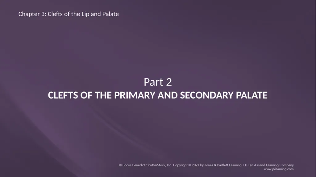 Chapter 3: Clefts of the Lip and Palate Chapter 3: - slide 21 of 64