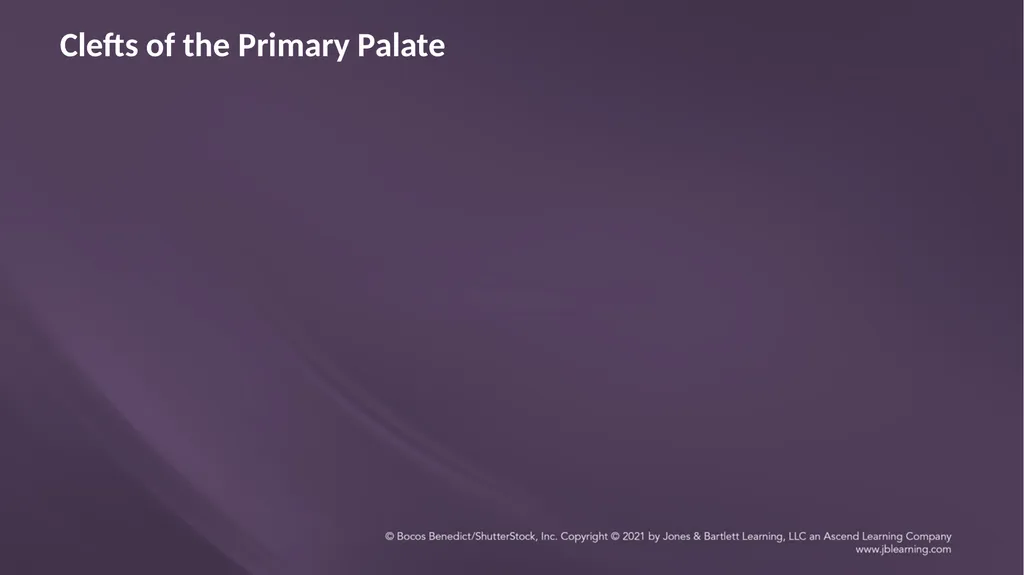 Chapter 3: Clefts of the Lip and Palate Chapter 3: - slide 22 of 64