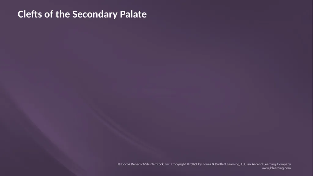 Chapter 3: Clefts of the Lip and Palate Chapter 3: - slide 34 of 64