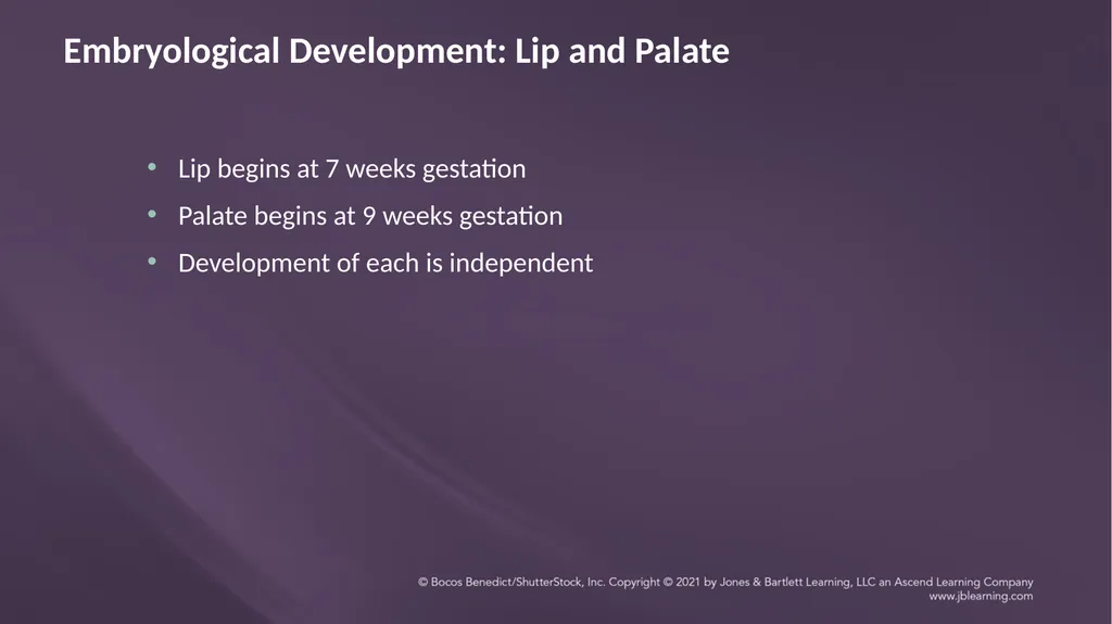 Chapter 3: Clefts of the Lip and Palate Chapter 3: - slide 4 of 64