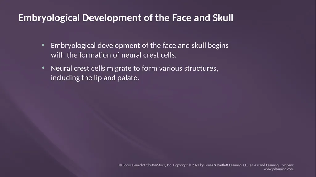 Chapter 3: Clefts of the Lip and Palate Chapter 3: - slide 3 of 64