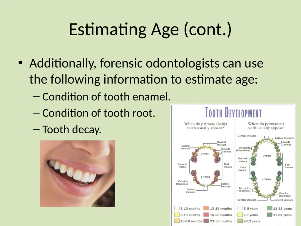 Dental Identification and Lip Prints Original - slide 13 of 14