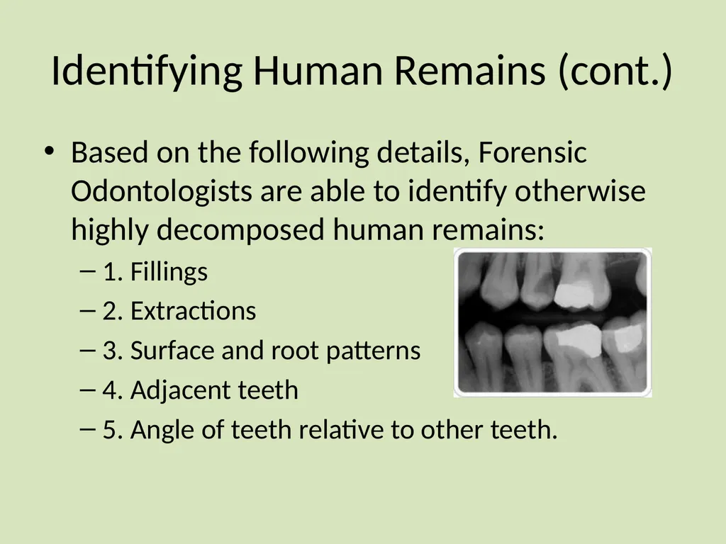 Dental Identification and Lip Prints Original - slide 5 of 14