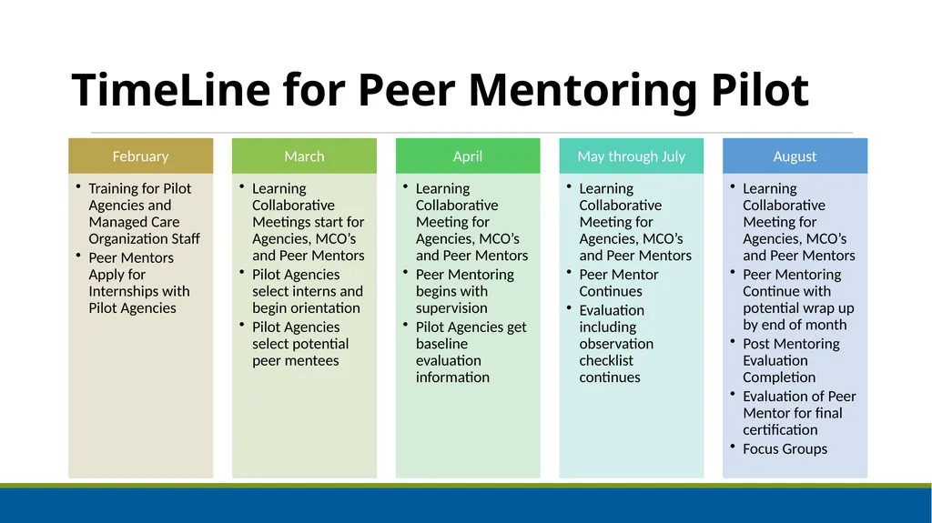 Peer Mentoring Training for Agencies Objectives: - slide 53 of 55
