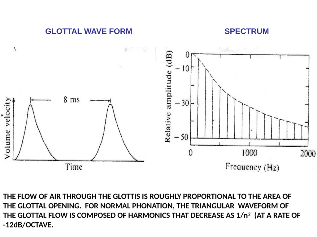 1. SPEECH PRODUCTION MUSIC 318 MINI-COURSE ON - slide 14 of 21
