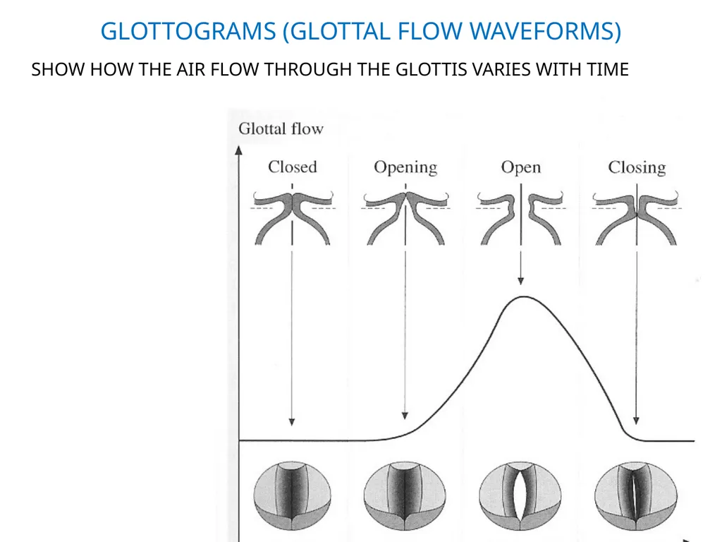 1. SPEECH PRODUCTION MUSIC 318 MINI-COURSE ON - slide 12 of 21