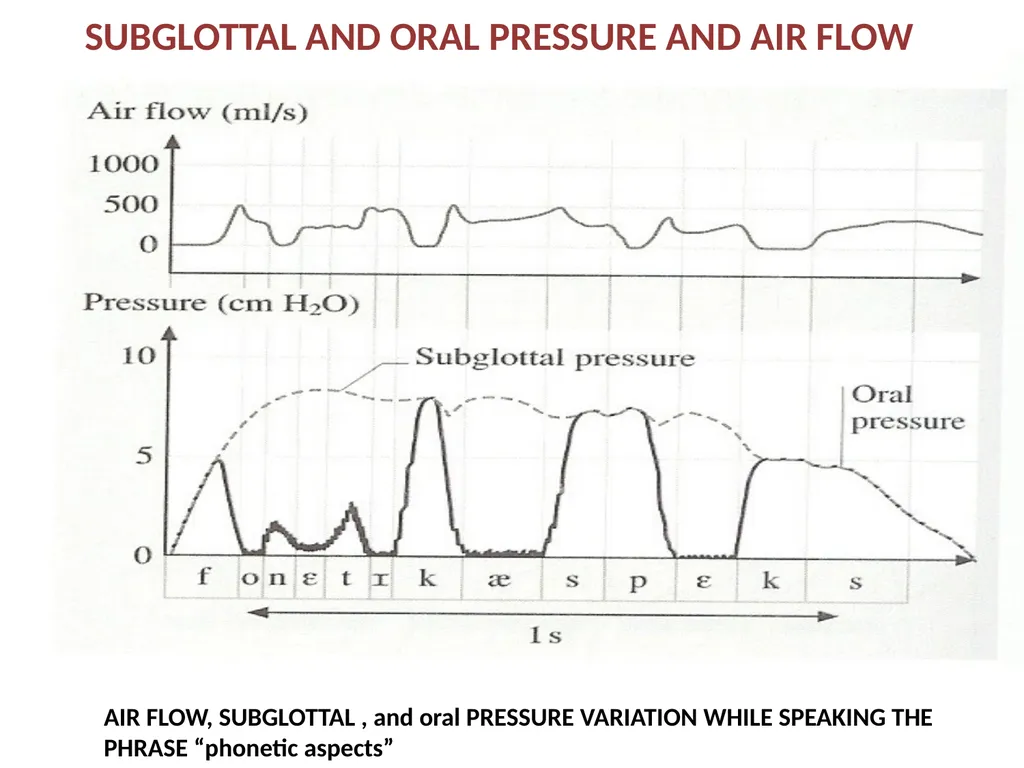 1. SPEECH PRODUCTION MUSIC 318 MINI-COURSE ON - slide 8 of 21