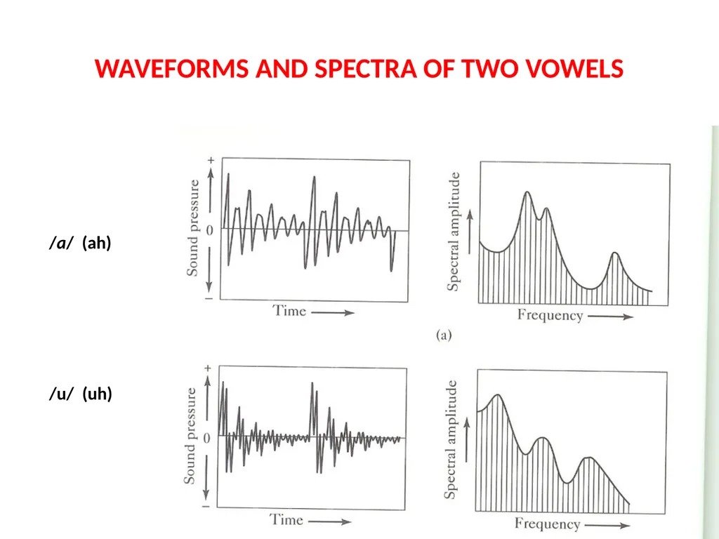 1. SPEECH PRODUCTION MUSIC 318 MINI-COURSE ON - slide 20 of 21