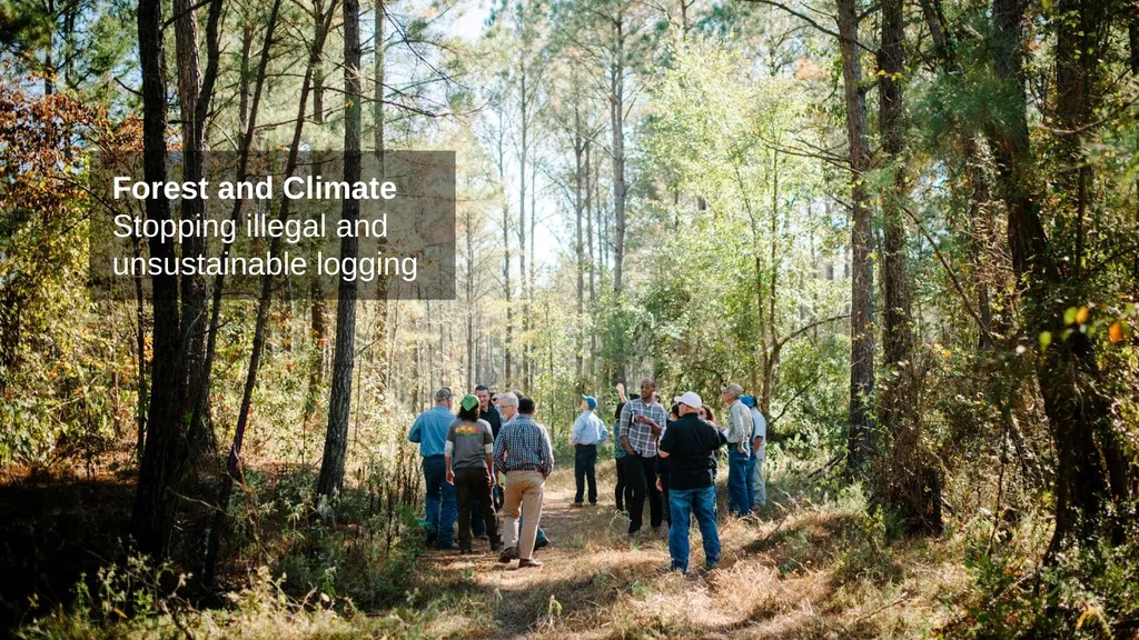 Forests People depend on forests. Forests remove - slide 11 of 17