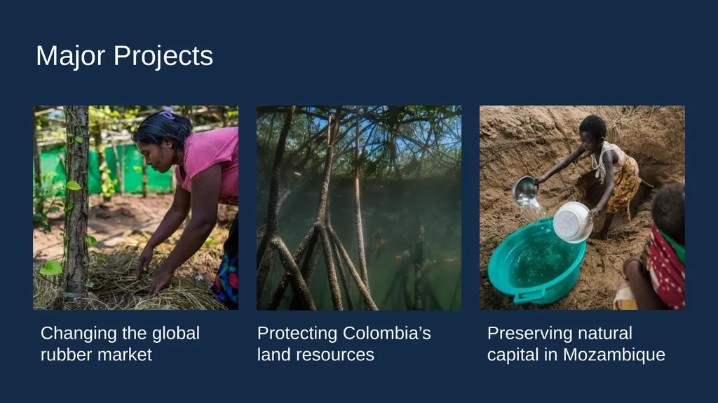 Forests People depend on forests. Forests remove - slide 14 of 17