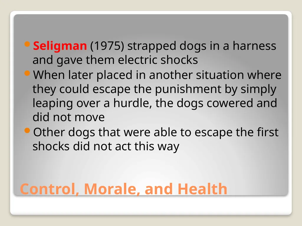Happiness and Human Flourishing Positive - slide 15 of 30