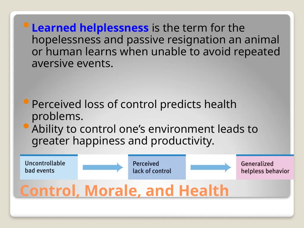 Happiness and Human Flourishing Positive - slide 16 of 30