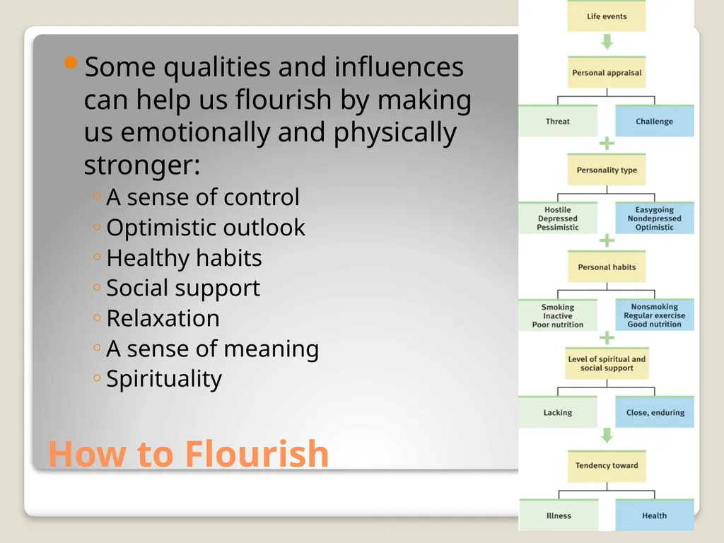 Happiness and Human Flourishing Positive - slide 30 of 30