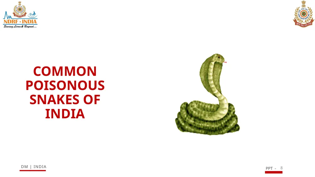 SNAKE BITE & ENVIRONMENTAL EMERGENCIES 1 Presented - slide 8 of 48