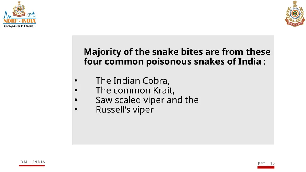 SNAKE BITE & ENVIRONMENTAL EMERGENCIES 1 Presented - slide 16 of 48