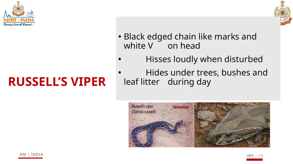 SNAKE BITE & ENVIRONMENTAL EMERGENCIES 1 Presented - slide 14 of 48