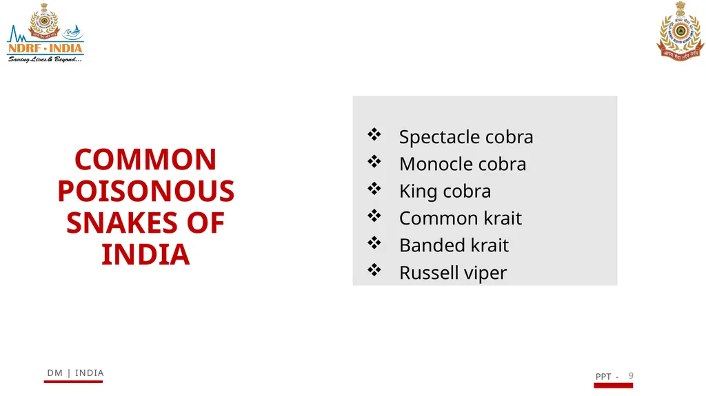 SNAKE BITE & ENVIRONMENTAL EMERGENCIES 1 Presented - slide 9 of 48