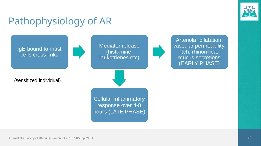 Allergic Rhinitis Faculty Dr. Jaclyn Quirt MD, - slide 12 of 52
