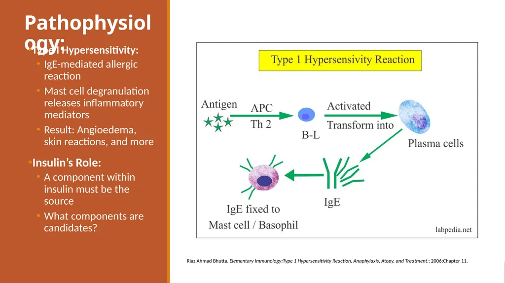 Insulin Hypersensitivity: A Rare Obstacle Benjamin - slide 14 of 29