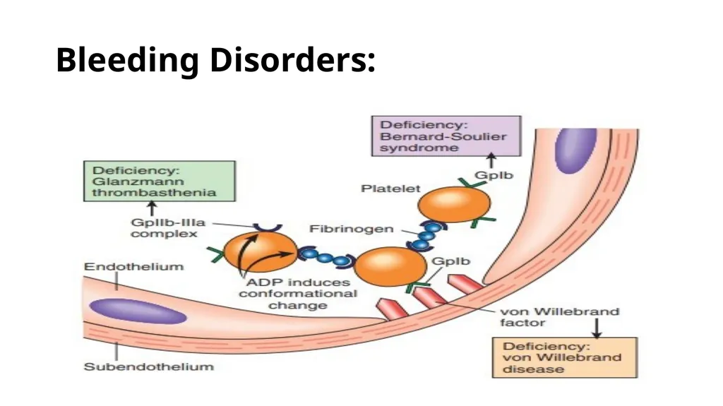 Introduction To Pathology Dr. Raya D. Marji, M.D. - slide 16 of 46
