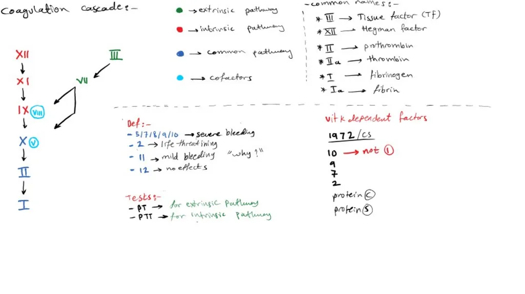 Introduction To Pathology Dr. Raya D. Marji, M.D. - slide 5 of 46