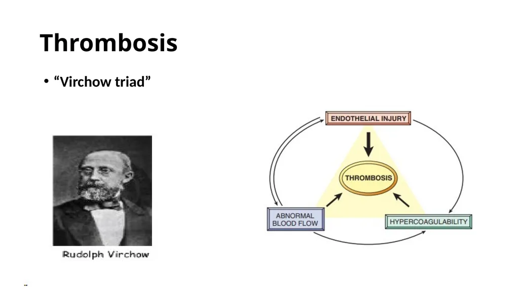 Introduction To Pathology Dr. Raya D. Marji, M.D. - slide 25 of 46