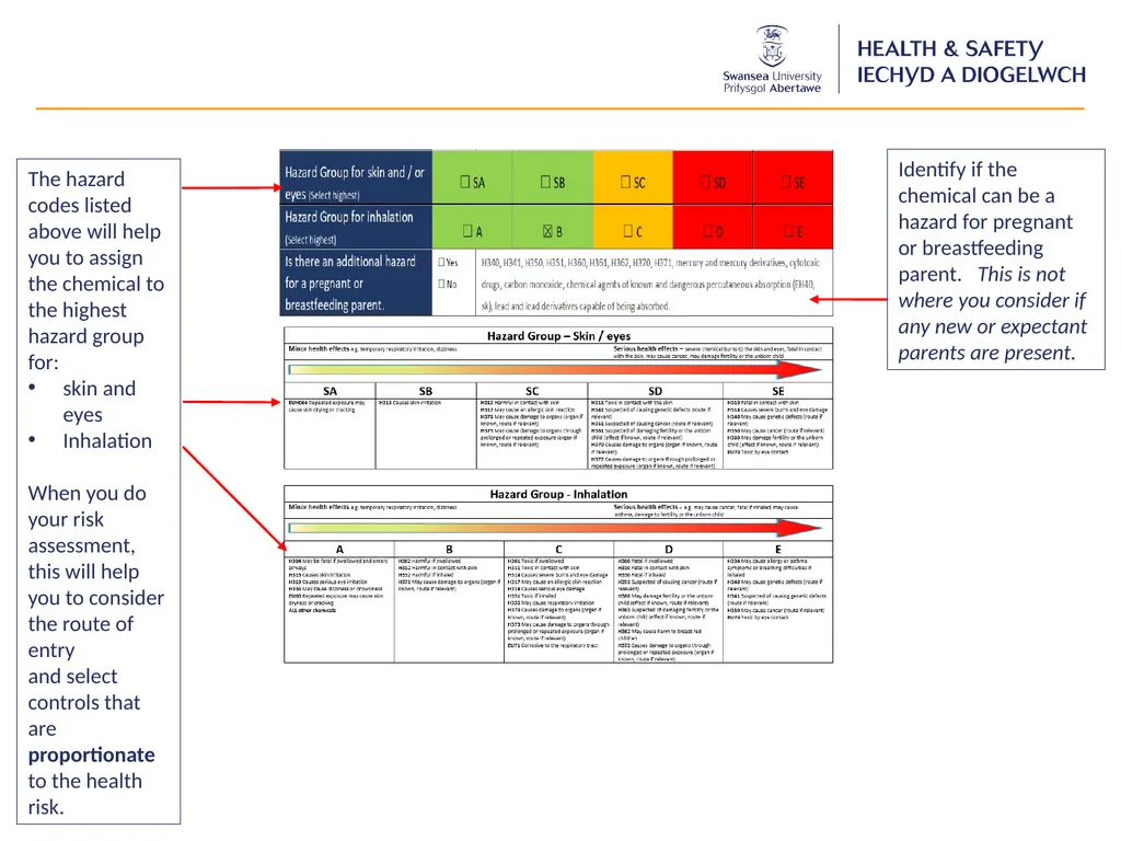 Chemical Risk Assessment Guidance for each - slide 4 of 17