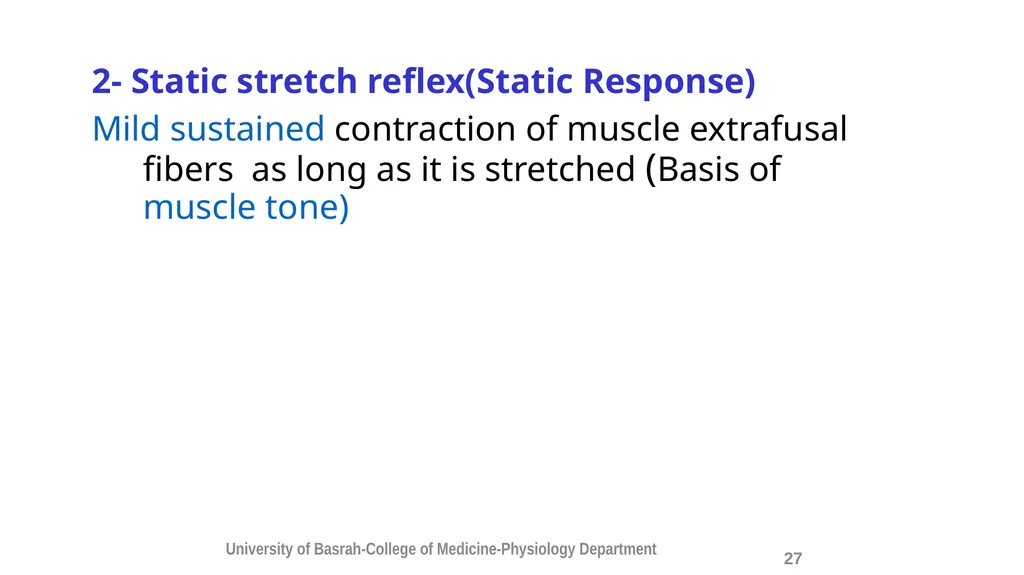 Spinal cord reflexes Lecture1 and 2 Mustafa - slide 28 of 53