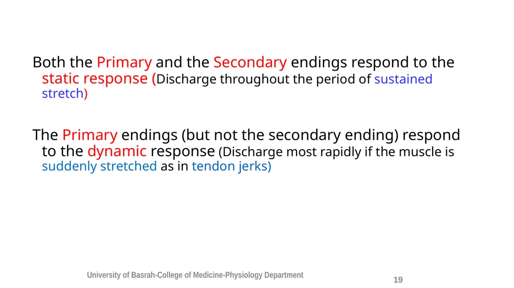 Spinal cord reflexes Lecture1 and 2 Mustafa - slide 20 of 53