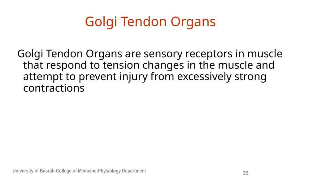 Spinal cord reflexes Lecture1 and 2 Mustafa - slide 40 of 53