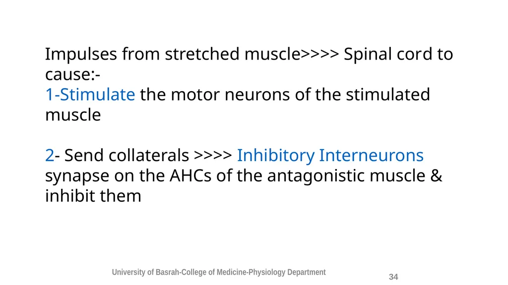 Spinal cord reflexes Lecture1 and 2 Mustafa - slide 35 of 53