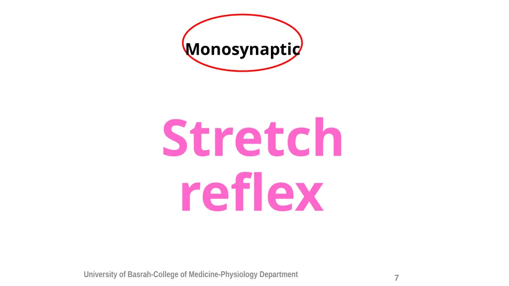 Spinal cord reflexes Lecture1 and 2 Mustafa - slide 9 of 53