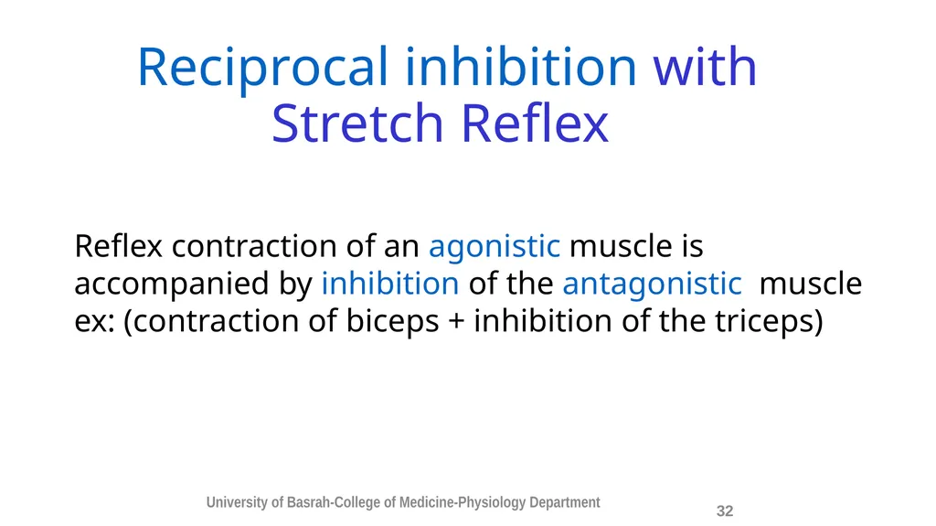 Spinal cord reflexes Lecture1 and 2 Mustafa - slide 33 of 53