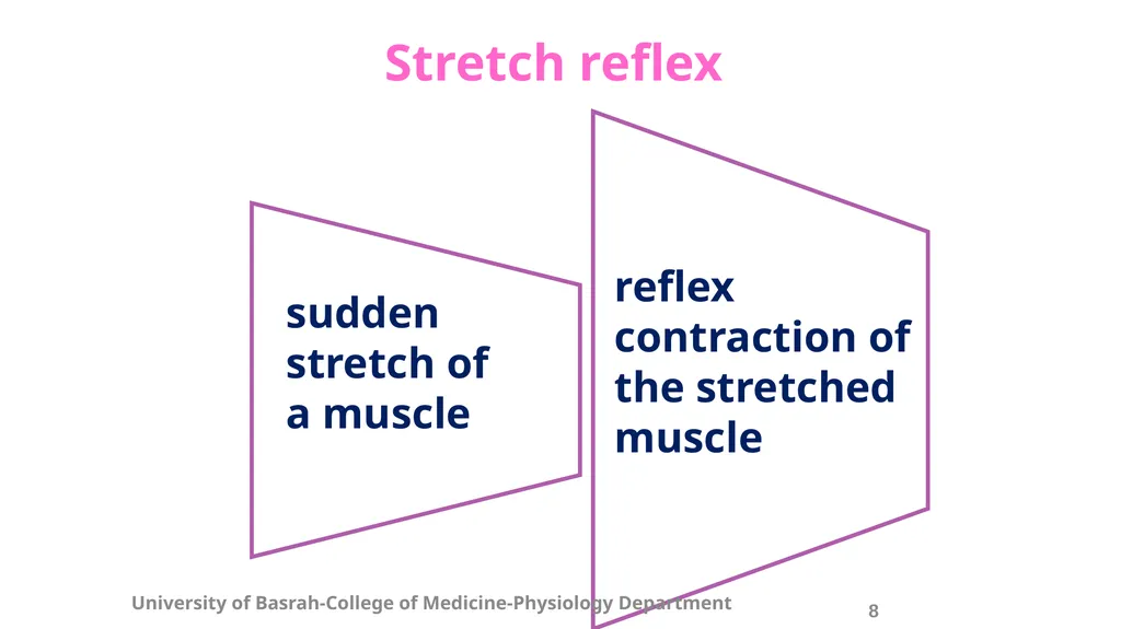 Spinal cord reflexes Lecture1 and 2 Mustafa - slide 10 of 53