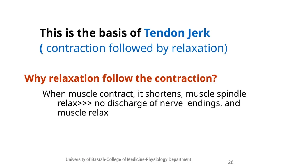 Spinal cord reflexes Lecture1 and 2 Mustafa - slide 27 of 53