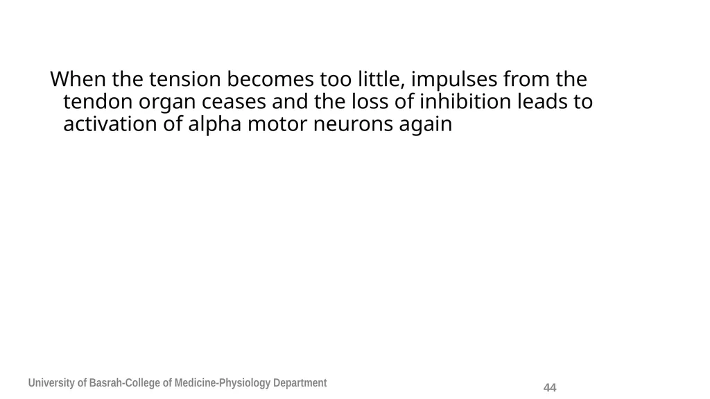 Spinal cord reflexes Lecture1 and 2 Mustafa - slide 45 of 53
