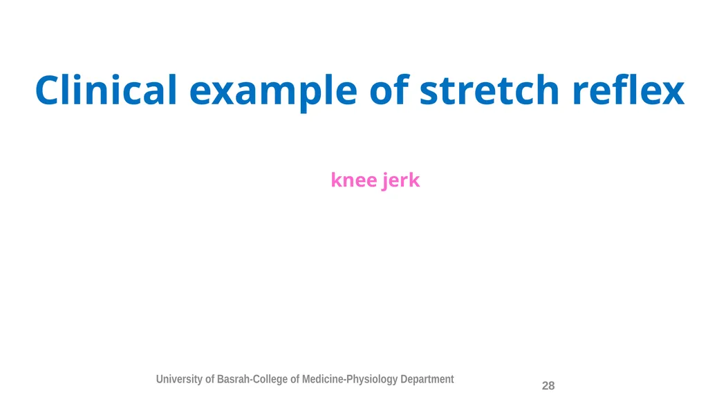 Spinal cord reflexes Lecture1 and 2 Mustafa - slide 29 of 53