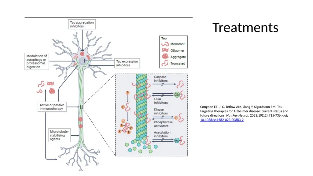 Diagnosing and Managing PSP & CBS Dr Boyd Ghosh - slide 49 of 54