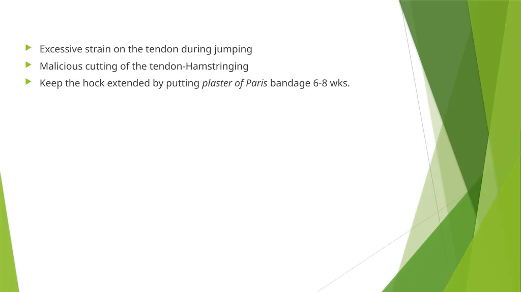 LAMENESS PART -III Fourth Professional(OLD) Dr. - slide 3 of 5