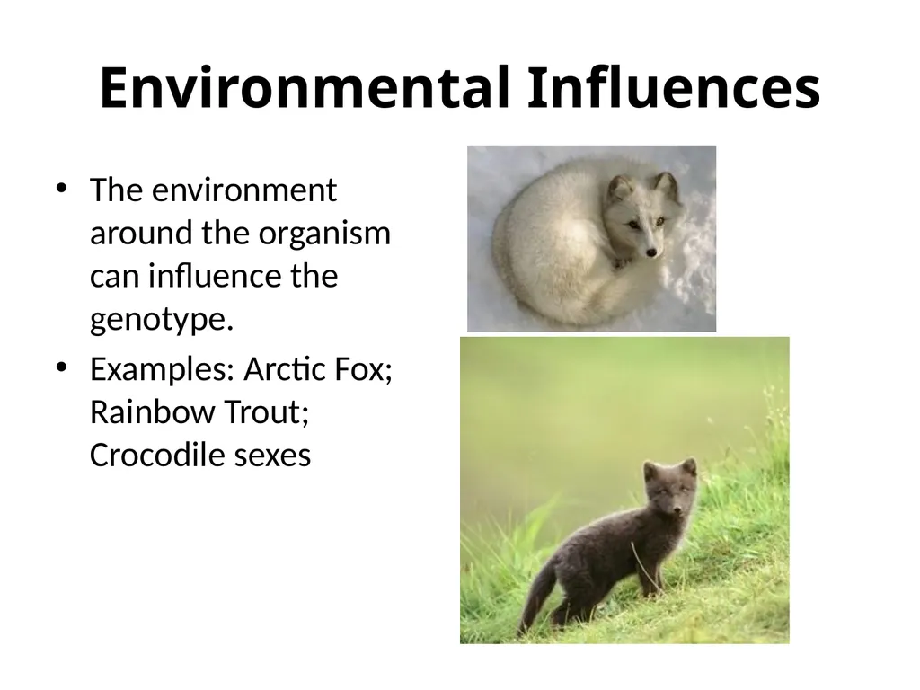Gene Expression/ Inheritance Patterns 10th Grade - slide 7 of 7