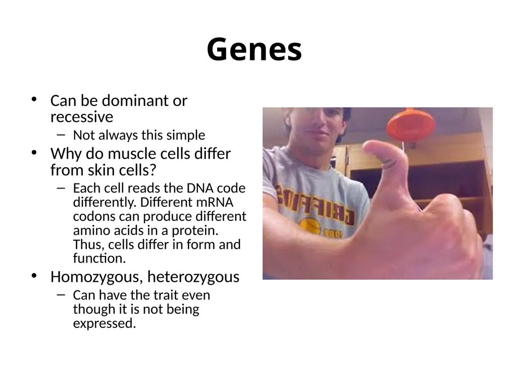 Gene Expression/ Inheritance Patterns 10th Grade - slide 2 of 7