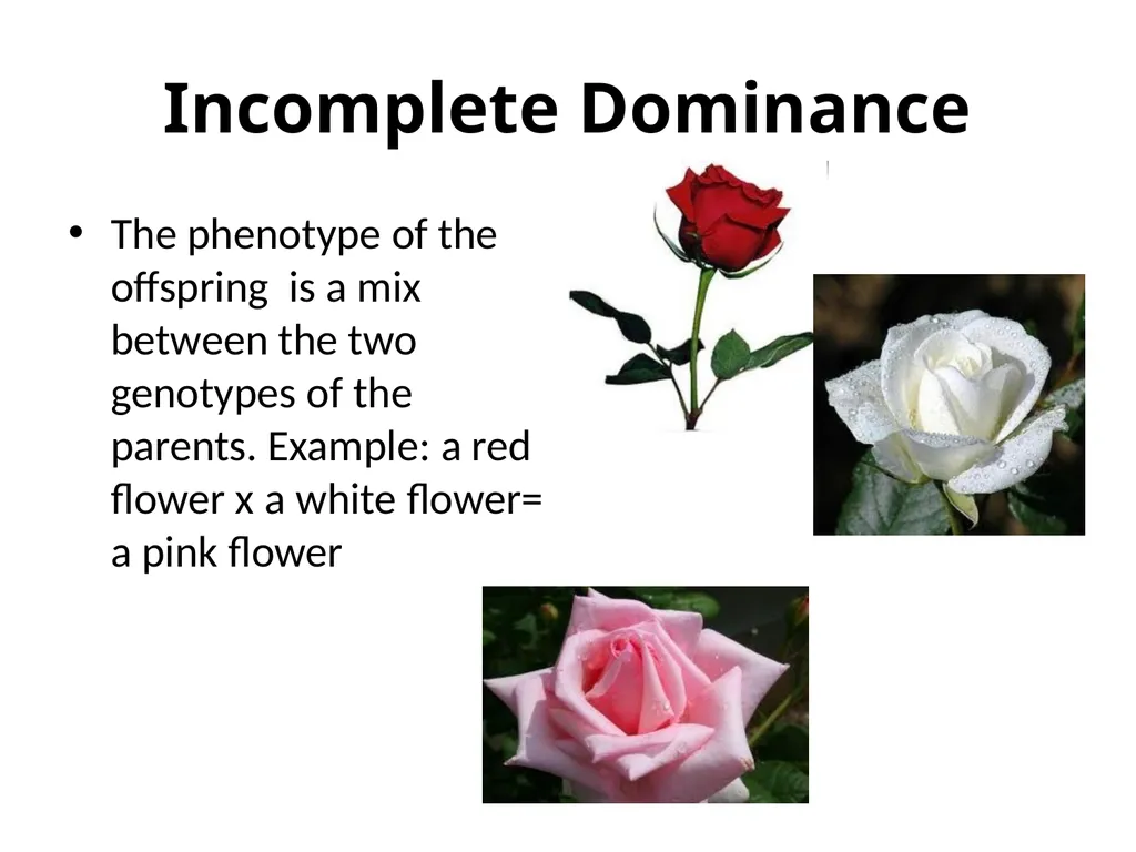 Gene Expression/ Inheritance Patterns 10th Grade - slide 3 of 7